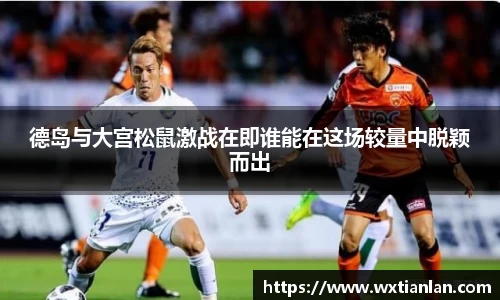 德岛与大宫松鼠激战在即谁能在这场较量中脱颖而出