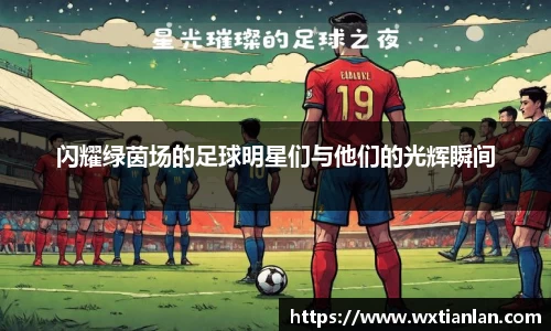 闪耀绿茵场的足球明星们与他们的光辉瞬间