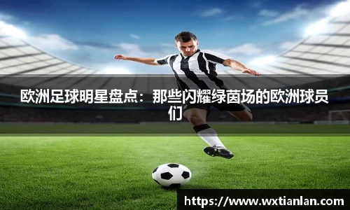 欧洲足球明星盘点：那些闪耀绿茵场的欧洲球员们